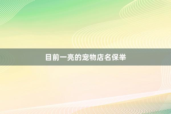 目前一亮的宠物店名保举