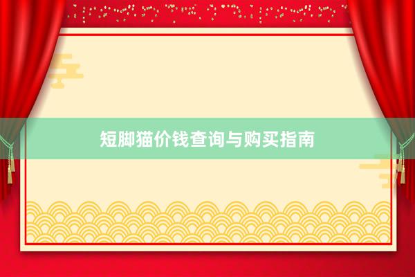 短脚猫价钱查询与购买指南